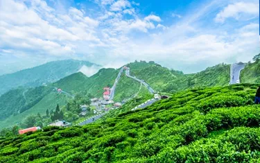 Happy Valley Tea Estate