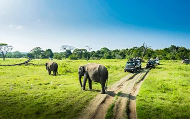 Gorumara National Park